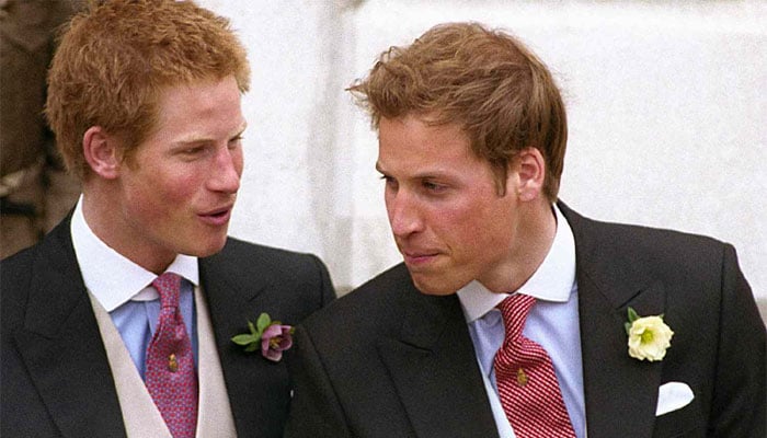 Prince William too hurt to consider reconciling with Harry due to Kate Middleton?
