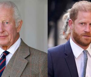 Prince Harry slapped with a public call out and handed a stern talking to