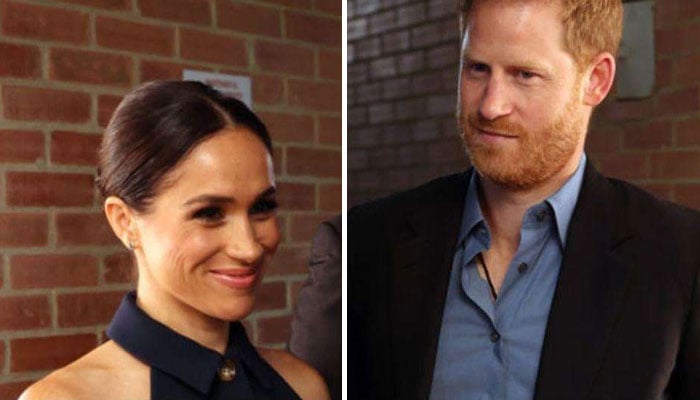 Meghan Markle’s role in Prince Harry’s new charity has come to light