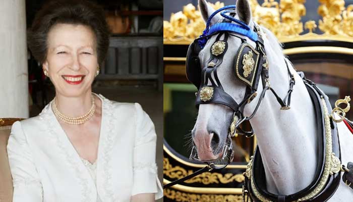 Princess Anne and royal horse  Tyrone