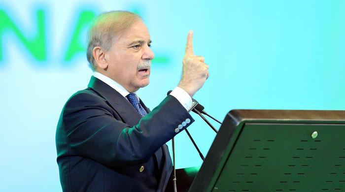 PM Shehbaz warns of 'decisive response' if India blocks water