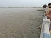 Flooding feared in Punjab rivers amid rains, possible water release by India
