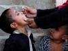 NIH says polio positives drop nationwide, but transmission yet to be halted