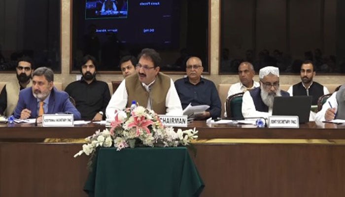 Junaid Akbar chairs a PAC meeting on August 12, 2025. — Facebook@NationalAssemblyOfPakistan