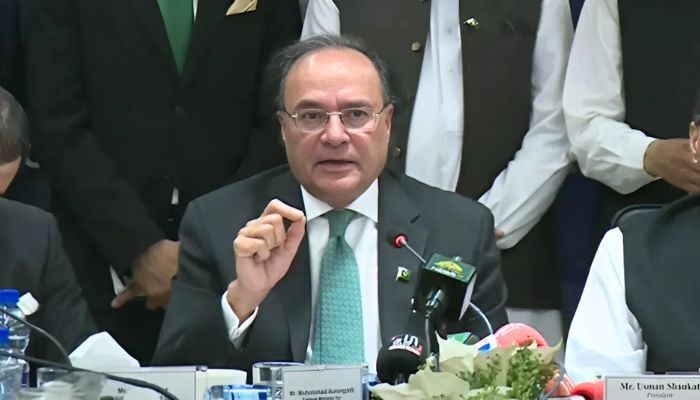 Finance Minister Muhammad Aurangzeb addressing an event in Islamabad, August 13, 2025. — Screengrab via Geo News