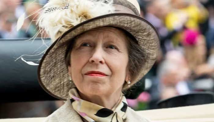 One week delay: Princess Annes Dublin engagements revealed