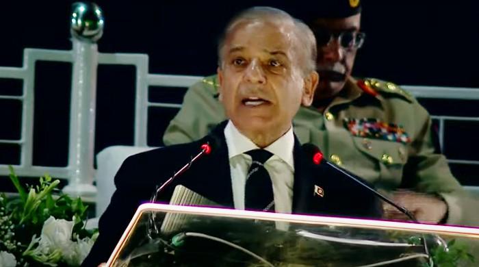At Independence Day event, PM invites all political parties to join hands for Pakistan's stability