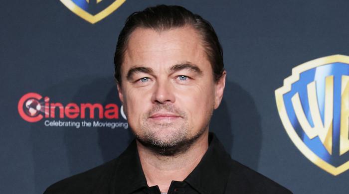 Leonardo DiCaprio recalls turning down iconic role 