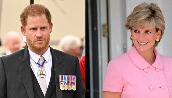 Princess Diana could have helped sons in lonely tasks as Royals