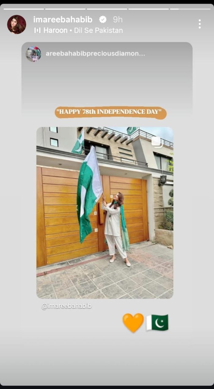 Actor Areeba Habibs post on August 14, celebrating Independence day. — Instagram/@imareebahabib