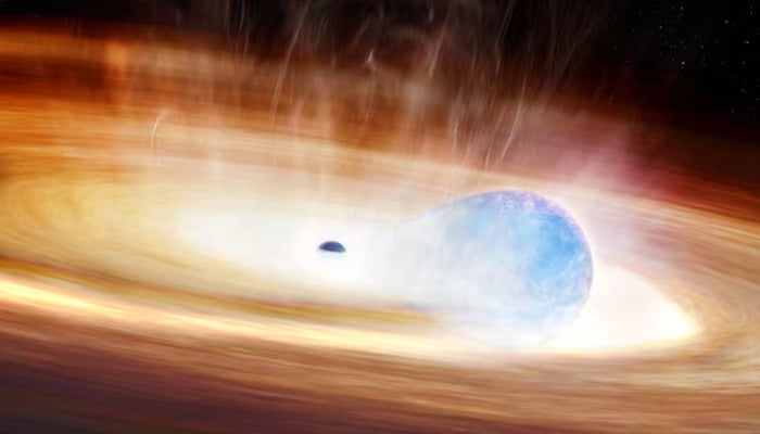 An artists conception shows a massive star being stretched by the gravitational forces of a nearby black hole prior to the stars supernova explosion, in this undated handout image. — Reuters