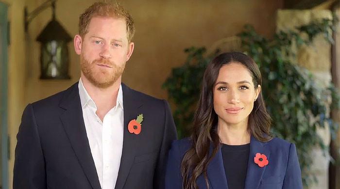 Prince Harry, Meghan Markle: Public opinion on controversial Royals revealed