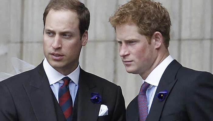 William, Harry keeping Dianas memory alive despite being estranged