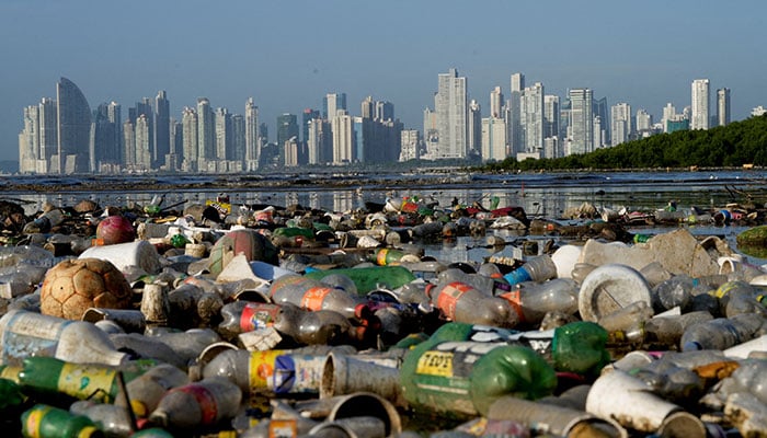 Plastic polluting a mangrove area lies in Panama Bay, Panama City, Panama December 6, 2024. — Reuters