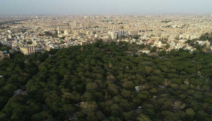 An aerial view shows a green patch of Azadirachta Indica trees over a graveyard with the city in the background in Karachi. — Reuters/File