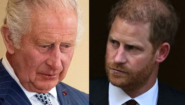 Experts break down their understanding of Meghan Markle, Prince Harry’s plans for the next month