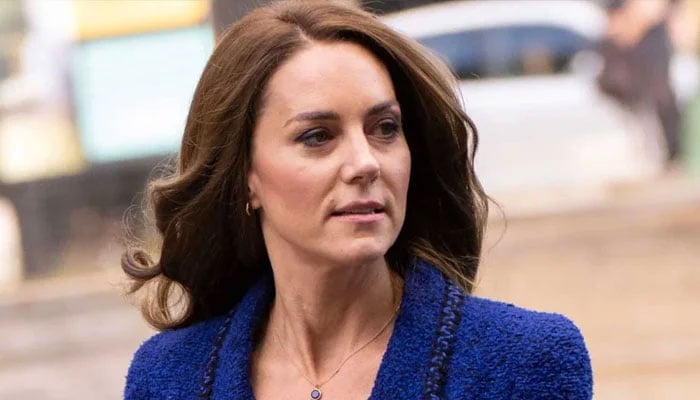 Kate Middleton is rising above THIS informal royal role