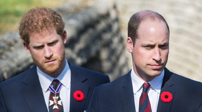 Prince William, Harry’s best friend lands in big trouble