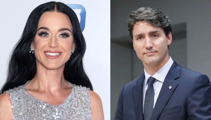 Katy Perry and Justin Trudeaus relationship status revealed