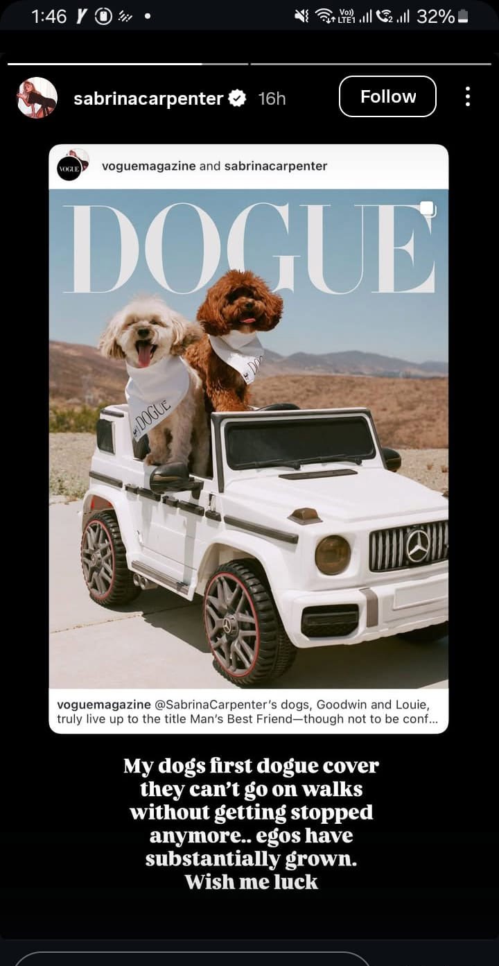 Sabrina Carpenter gushes about her dogs appearance