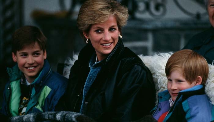 Princess Dianas warnings to Harry, William about royal life revealed