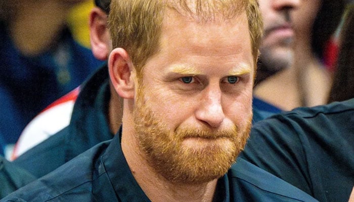 Prince Harry urged to reconsider his older tactics