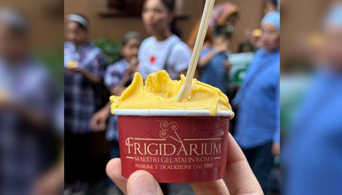 A person holds the Chaunsa Mango Gelato in their hand. — Pakistan Embassy in Rome