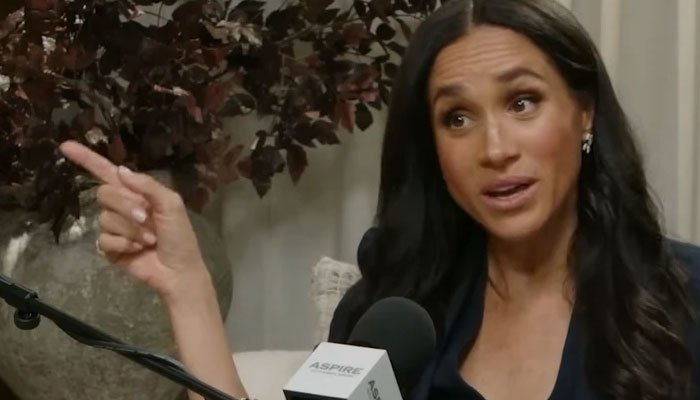 Meghan Markle handed shocking comparison: ‘Looks like she’s tired boiling her own egg’