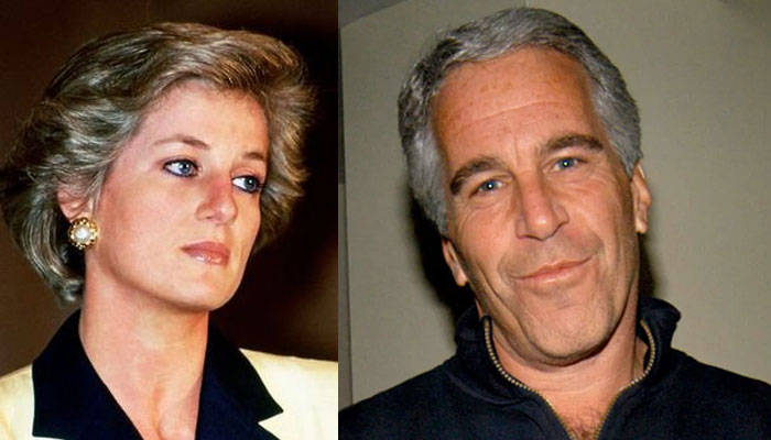 Princess Diana and Jeffrey Epstein courted?