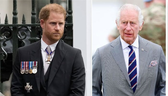 Prince Harry risking his future with Diana documentary: report