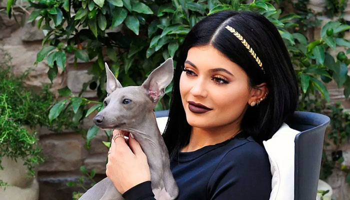 Kylie Jenner shares rare update on pet dog