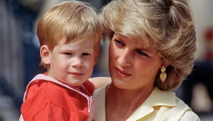 Prince Harry issued strong warning about creating Princess Diana documentary