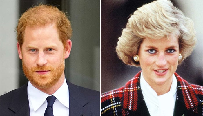 Prince Harry issued strong warning about creating Princess Diana documentary