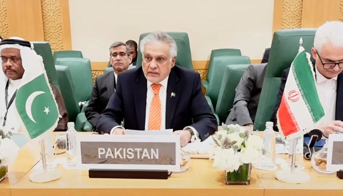 Deputy Prime Minister and Foreign Minister Ishaq Dar addresse the 21st Extraordinary Session of the OIC Council of Foreign Ministers (CFM) in Jeddah, August 25, 2025. — Screengrab via Geo News