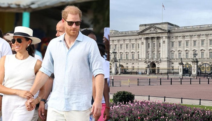 Buckingham Palace pushing for formal contract with Prince Harry, Meghan