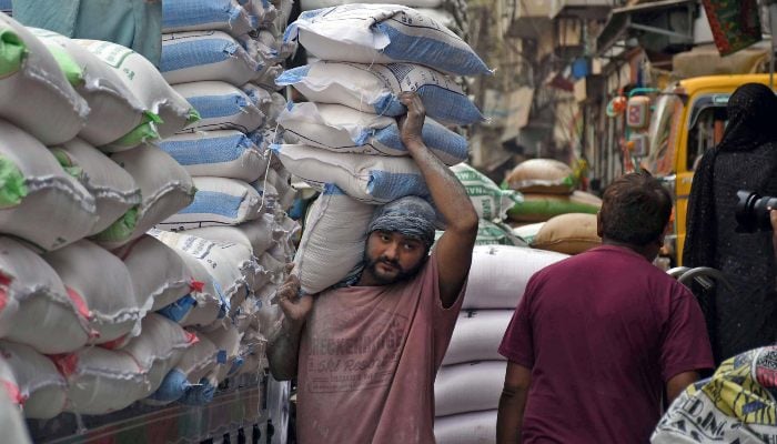 A labourer is carrying flour bags on his shoulder after unloading from a loading truck at a local market, Karachi, February 27, 2025. — ONLINE