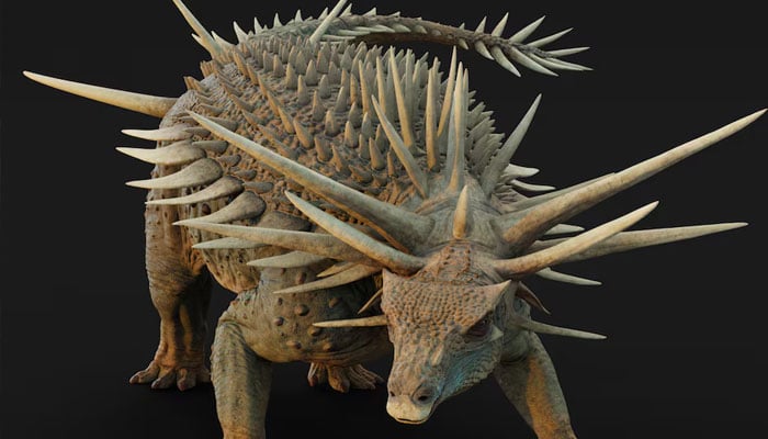An artistic reconstruction of the ankylosaur Spicomellus afer, based on fossils found in the Atlas Mountains of Morocco, shows the animal with the most extensive armor of any known dinosaur. — Reuters