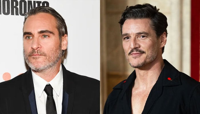 Pedro Pascal may replace Joaquin Phoenix in Todd Haynes shelved film