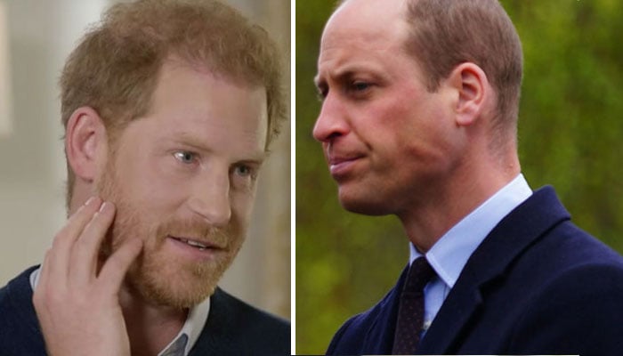 Insider exposes the lengths Prince William has gone to for Prince Harry