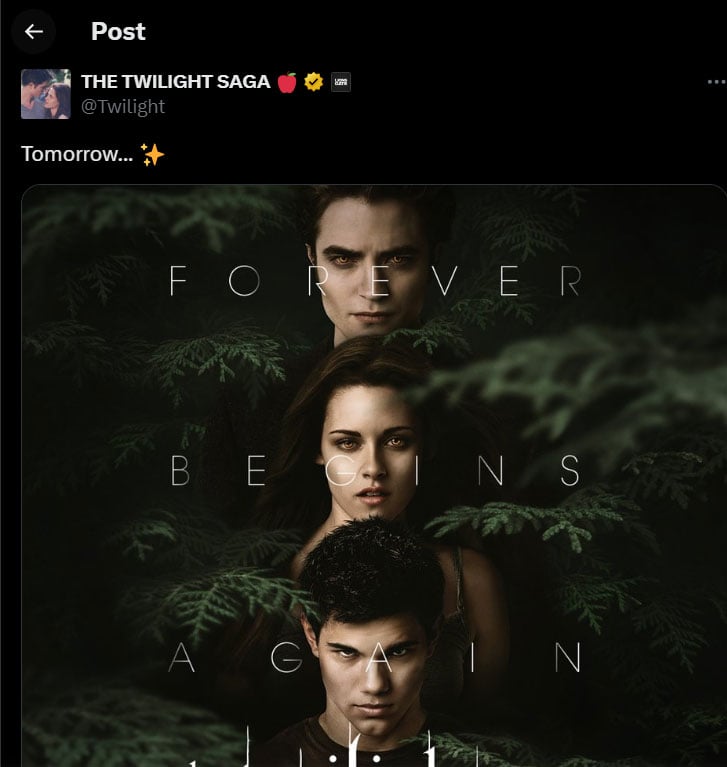 Twilight new post raises curious questions