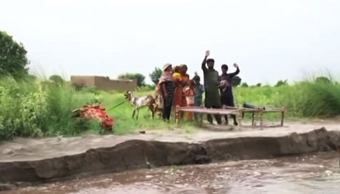 Stranded family waving hands to the rescue officials arrived at a suburban village of flood-hit Punjabs Bahawalnagar district. — Screengrab via Geo News
