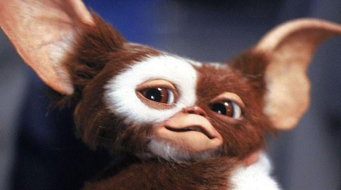 Major update on 'Gremlins 3' revealed 