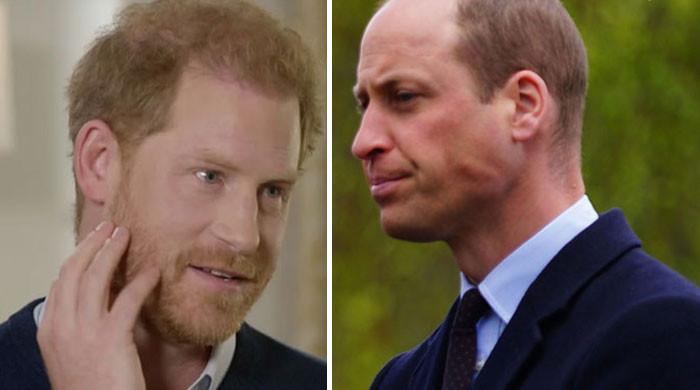 Lengths Prince William has gone to for Prince Harry come to light