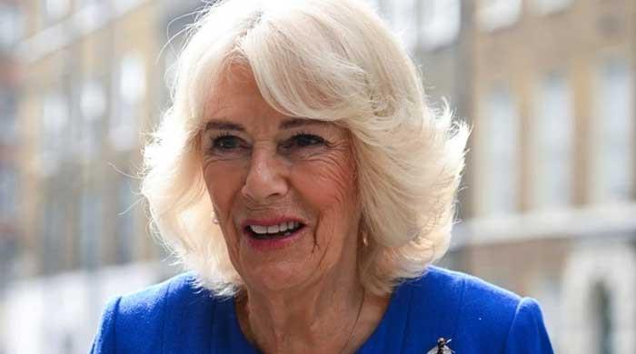 Queen Camilla lauded for commitment to 'real and lasting change'