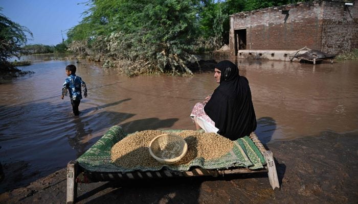 A woman sits next to wheat amidst floodwaters at Chak Ali Sher village in Wazirabad district on August 28, 2025. — AFP