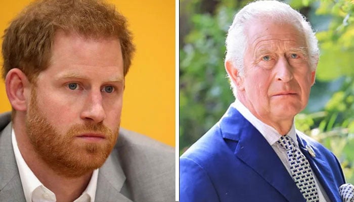 Prince Harry’s shot at reconciling with King Charles finally receives an update