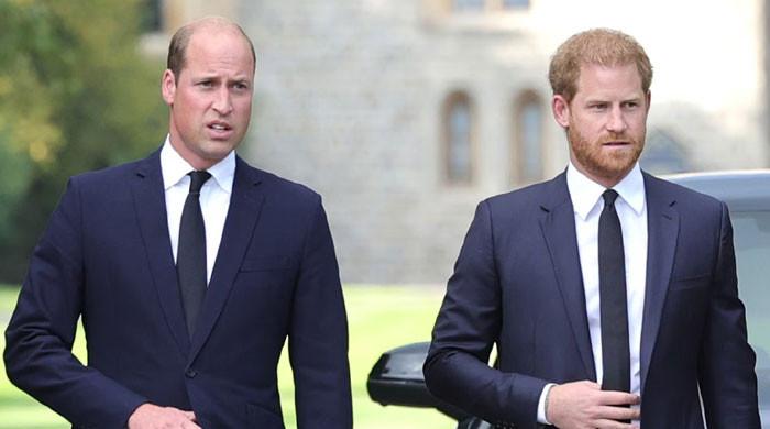Why can't Prince Harry and Prince William mend their ties?