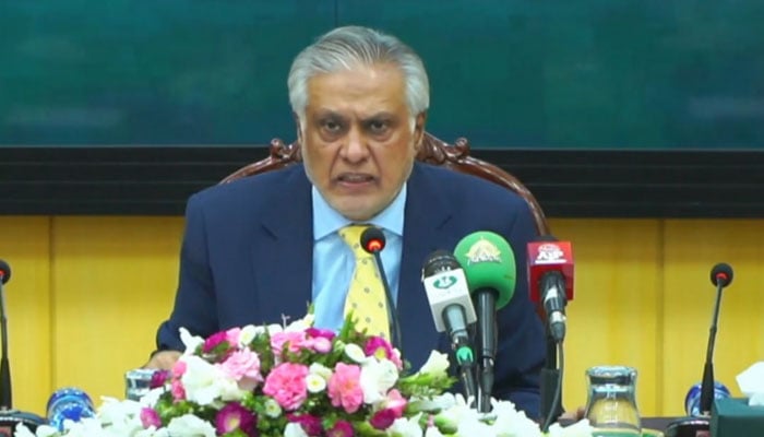Deputy Prime Minister and Foreign Minister Senator Mohammad Ishaq Dar addressing a press conference on August 29, 2025. — X@ForeignOfficePk