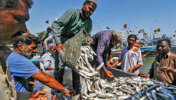 Fishermen unload baskets of fish from a boat after they returned with the days catch at a harbor in Ibrahim Hyderi fishing village on the outskirts of Karachi, April 29, 2020. — Reuters