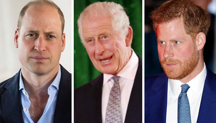 Prince William’s chances of attending King Charles’ peace talks comes to light